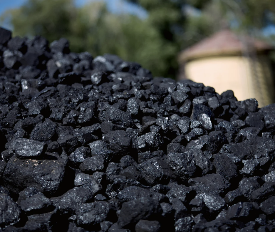 Reality Bites The Net Zero Madness Is Falling Apart Family First